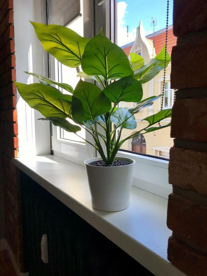 Apartament Odrzanka Gryfino Dış mekan fotoğraf